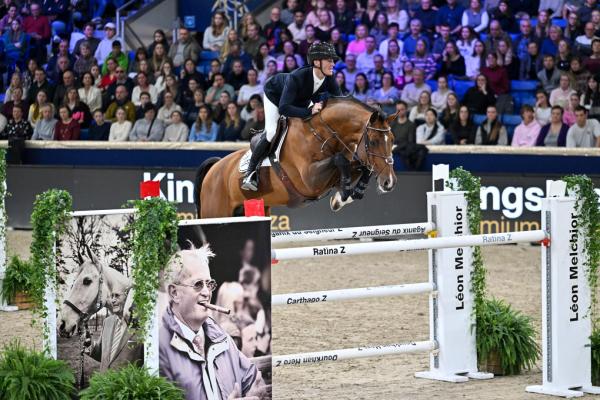Chacco's Lando OL - Mechelen Sires of the World - 1